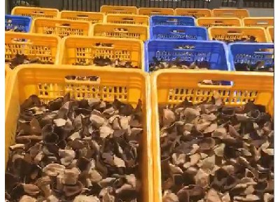 廠(chǎng)房一角