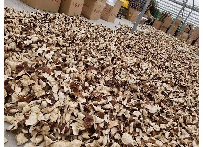 廠(chǎng)房一角