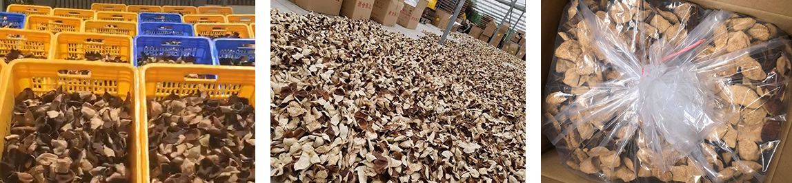 新會(huì)陳皮廠家 新會(huì)陳皮廠家